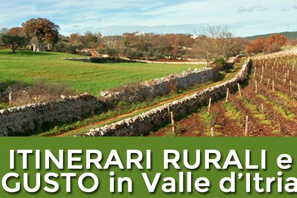 Workshop - Rural and taste paths in the Itria Valley